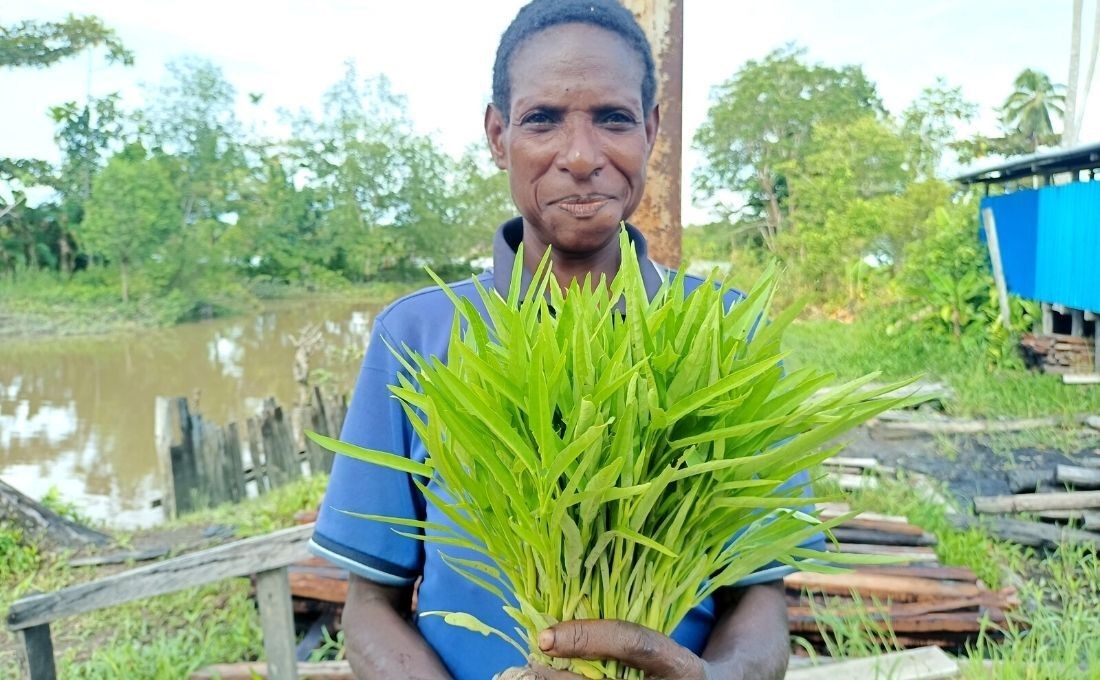 Kebun Gizi Baru untuk Keluarga Kami