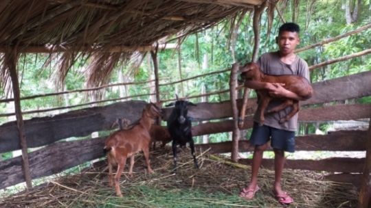 Benu dan Kambing Kacang Pemberian Sponsor