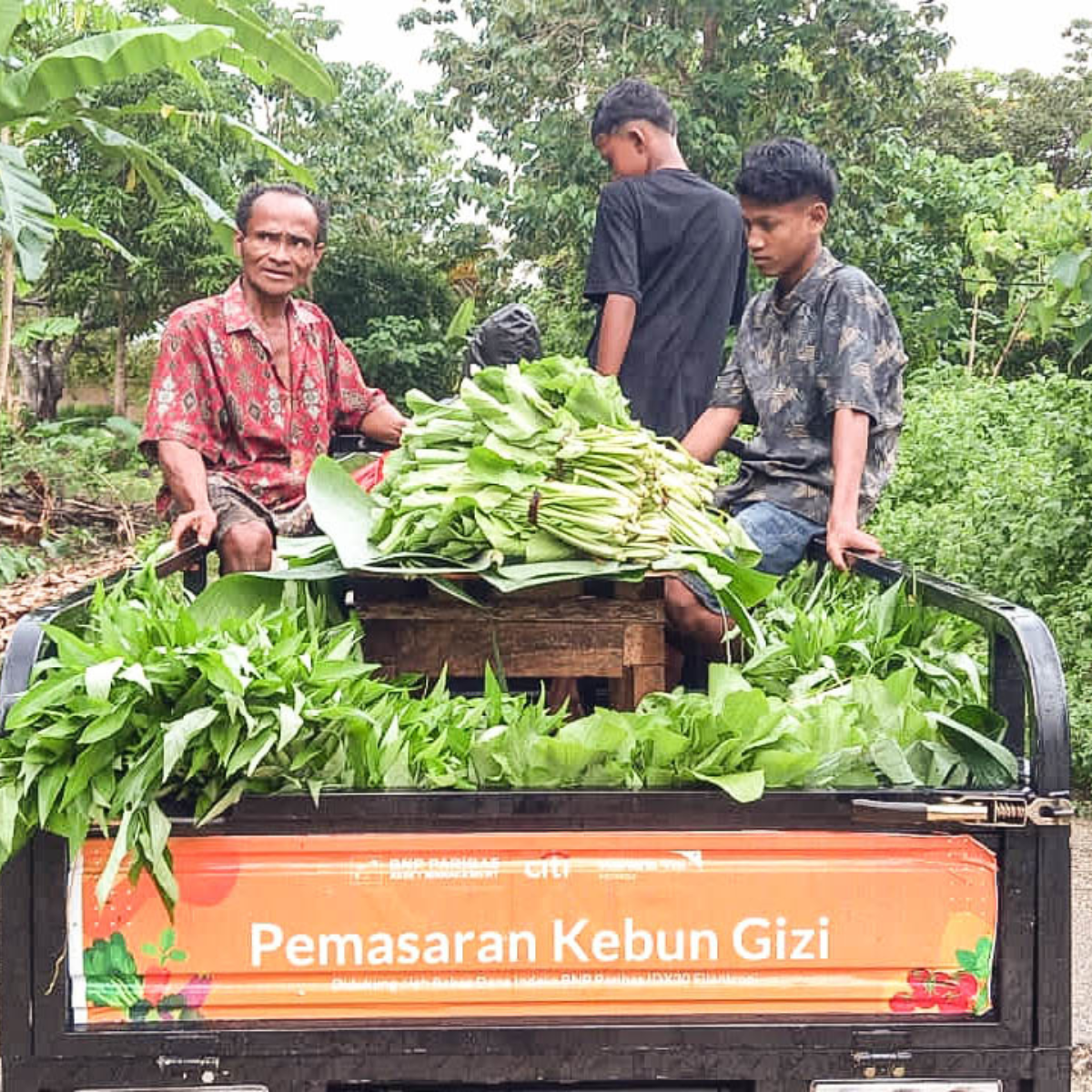 Sayur Kebun Gizi Bernilai Ekonomi