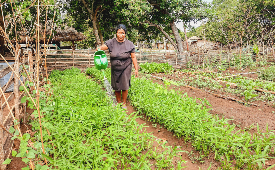 Cultivating Change for Food Security and Child's Nutrition