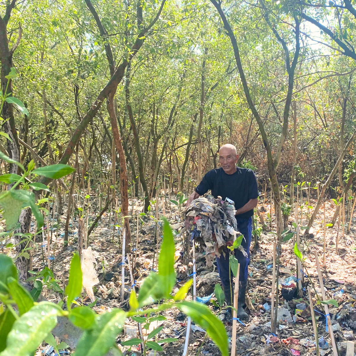 Sampah Bukan Penghalang Merawat Mangrove