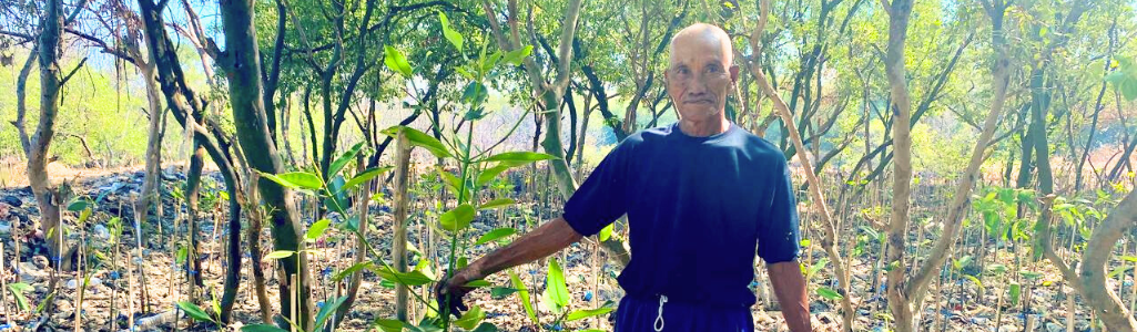 Sampah Bukan Penghalang Merawat Mangrove