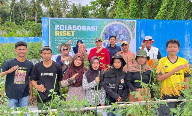 Kolaborasi Riset Unkhair Ternate, WVI, dan PT Bio Konversi Indonesia Panen Tomat Ramah Lingkungan