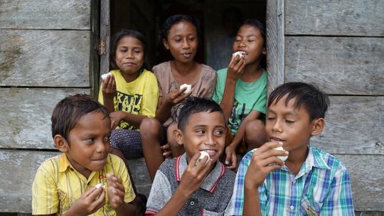 5 Manfaat Donasi Anak bagi Kesehatan dan Gizi yang Perlu Anda Ketahui