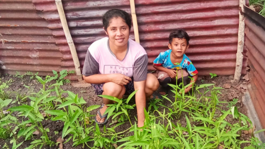 Kebun Kecil yang Berdampak Besar untuk Anak-anak